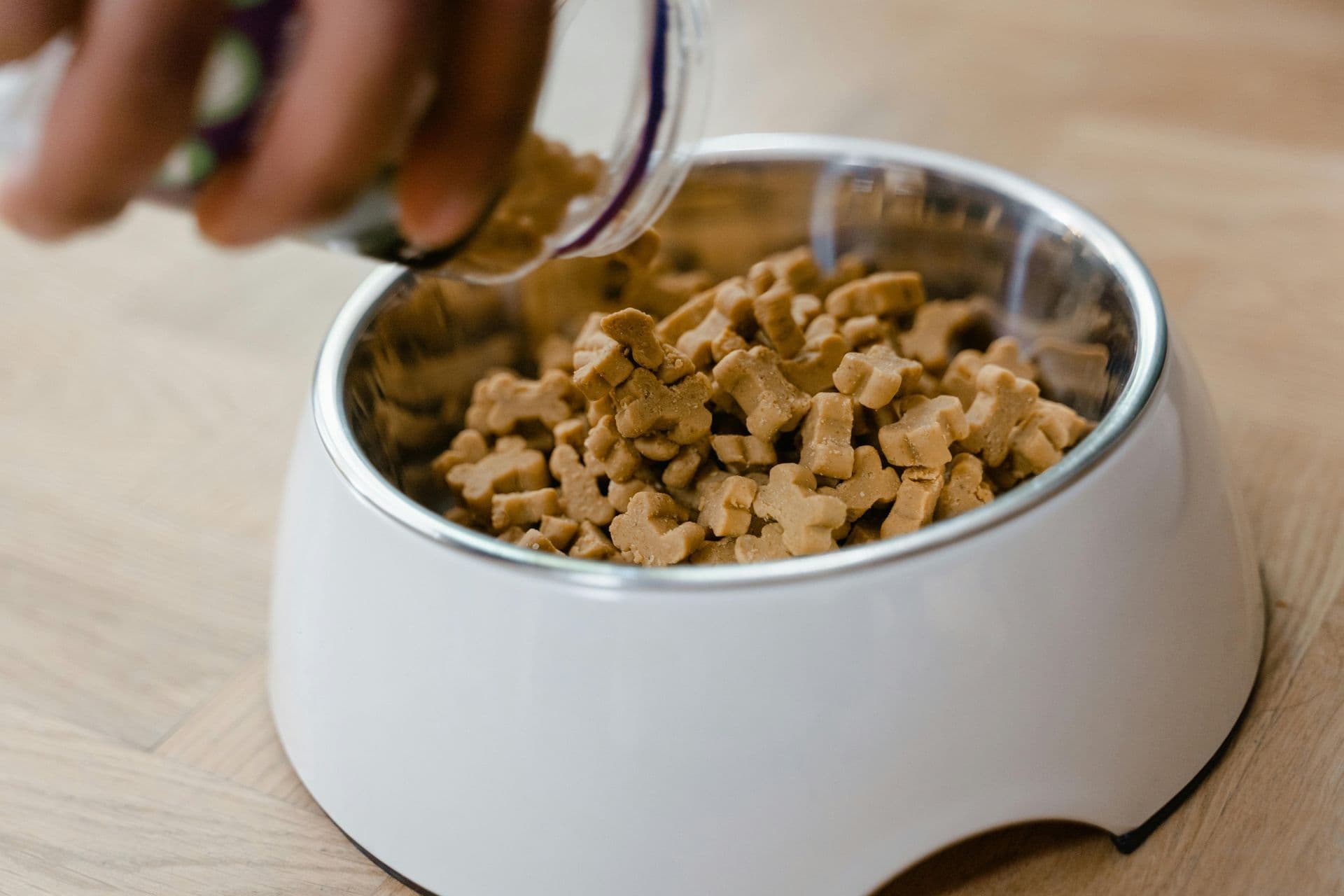 Measuring cup of kibble beside a dog and a feeding bowl, illustrating calorie-based portioning and body-condition feeding rather than guesswork.