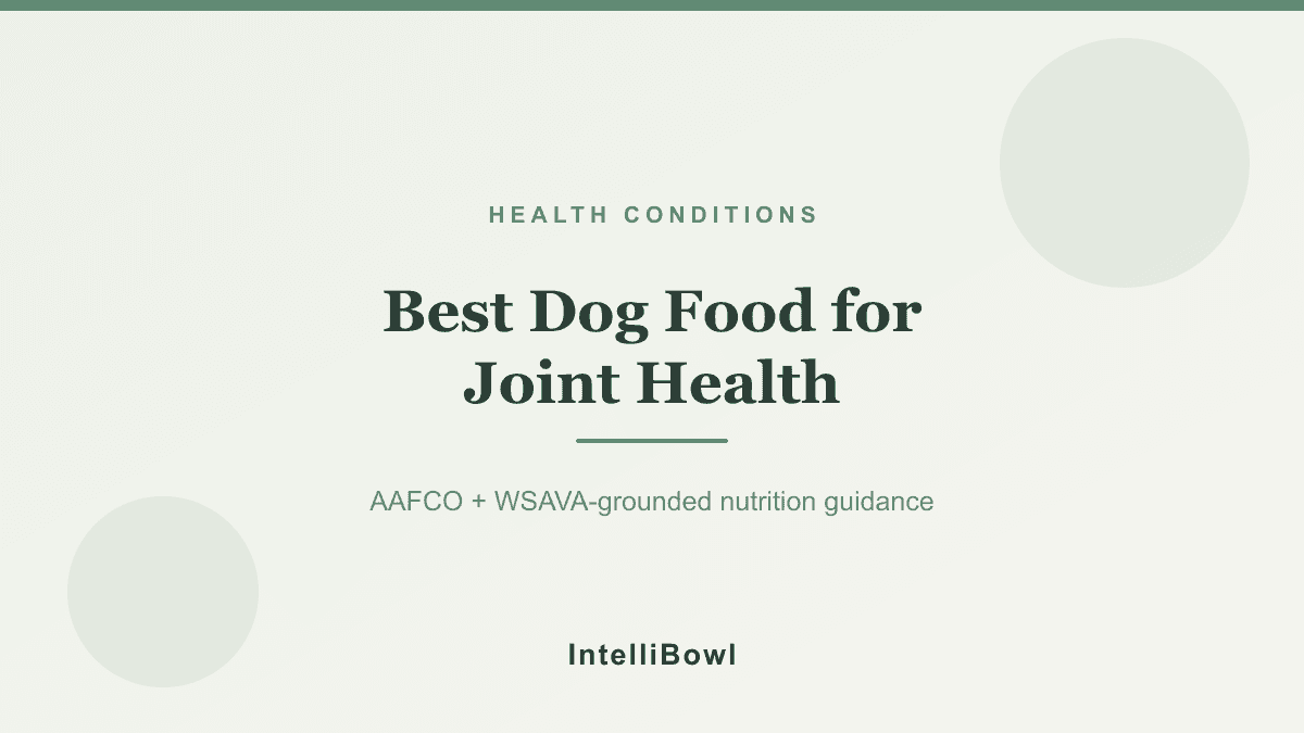 A senior large-breed dog rising from a padded bed in soft natural light, illustrating joint comfort and mobility supported through diet.