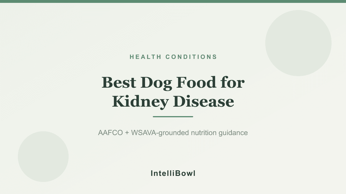 An older dog resting calmly beside a full water bowl in a quiet home setting, illustrating dietary management of canine chronic kidney disease.