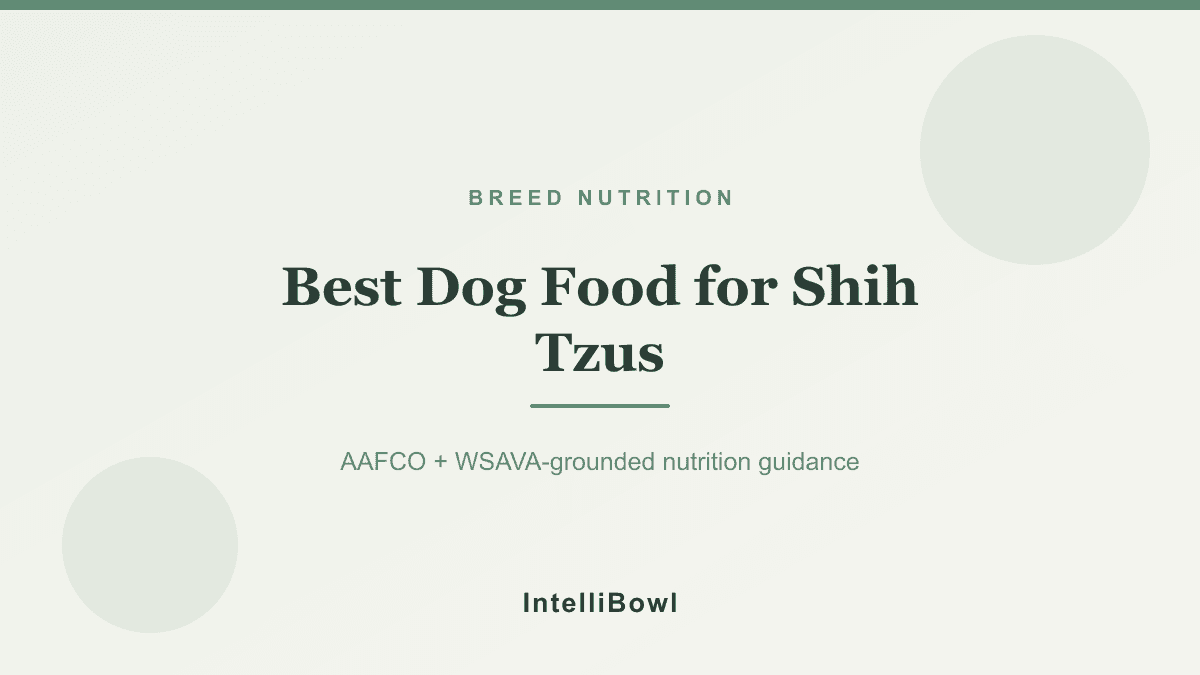 An adult Shih Tzu with a long flowing coat sitting beside a shallow feeding bowl, illustrating brachycephalic-friendly feeding and coat nutrition.