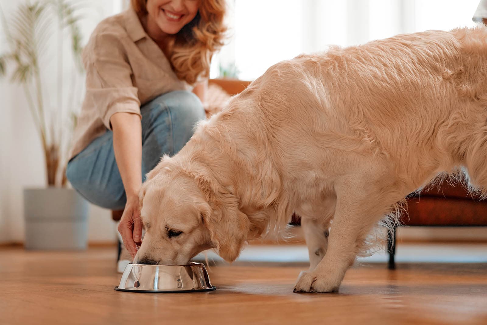 Dog owner smiling as her golden retriever eats from a stainless steel bowl, illustrating personalized dog food guidance as a better alternative to generic star ratings.
